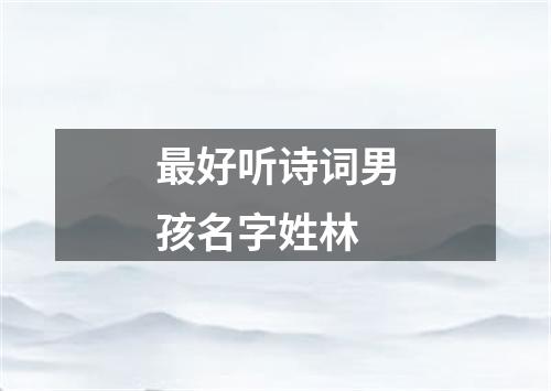 最好听诗词男孩名字姓林
