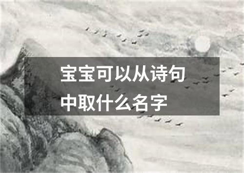 宝宝可以从诗句中取什么名字