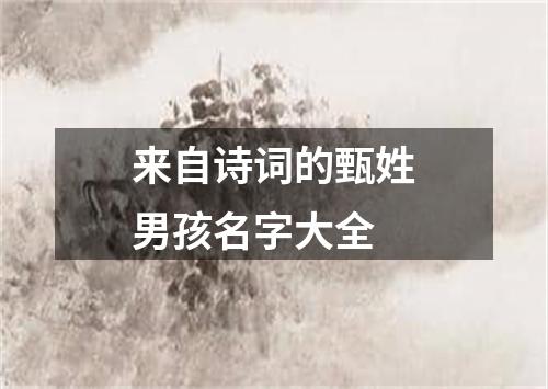 来自诗词的甄姓男孩名字大全
