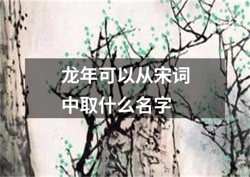 龙年可以从宋词中取什么名字