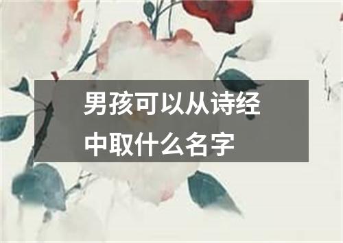 男孩可以从诗经中取什么名字
