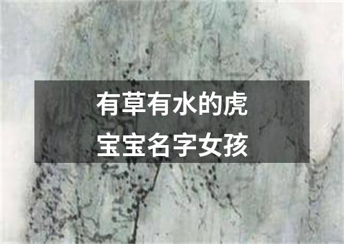 有草有水的虎宝宝名字女孩