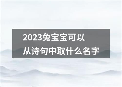 2023兔宝宝可以从诗句中取什么名字