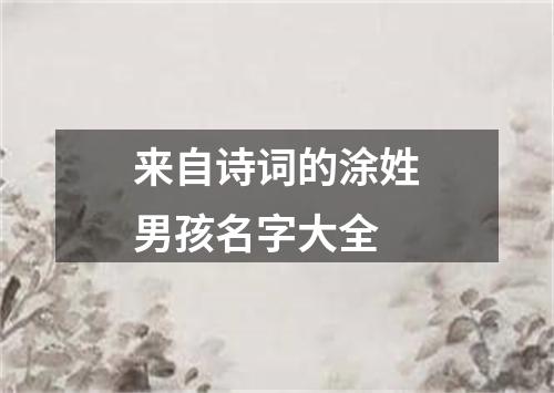 来自诗词的涂姓男孩名字大全