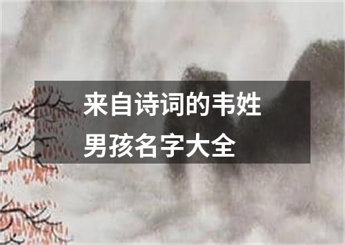 来自诗词的韦姓男孩名字大全