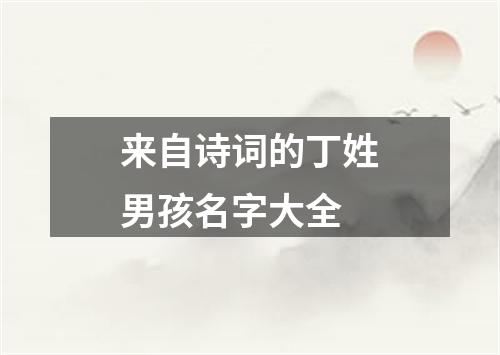 来自诗词的丁姓男孩名字大全