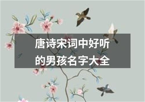 唐诗宋词中好听的男孩名字大全