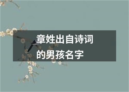 章姓出自诗词的男孩名字