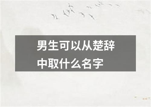 男生可以从楚辞中取什么名字