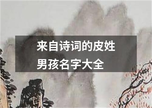 来自诗词的皮姓男孩名字大全