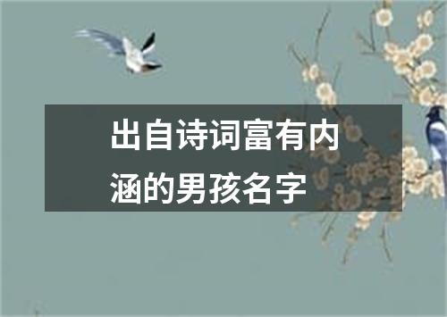 出自诗词富有内涵的男孩名字