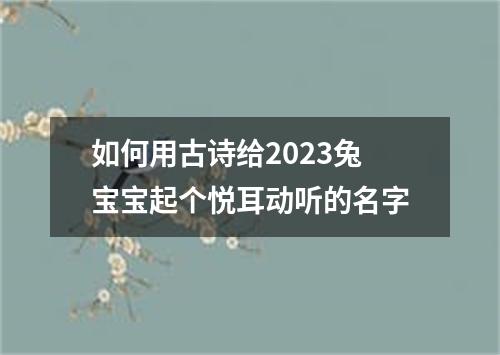 如何用古诗给2023兔宝宝起个悦耳动听的名字