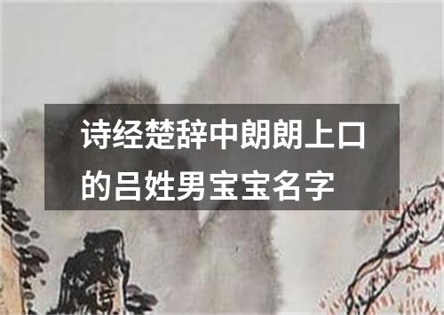 诗经楚辞中朗朗上口的吕姓男宝宝名字
