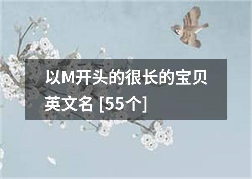 以M开头的很长的宝贝英文名 [55个]