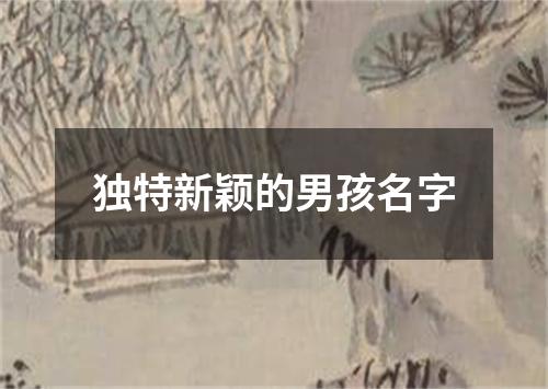 独特新颖的男孩名字