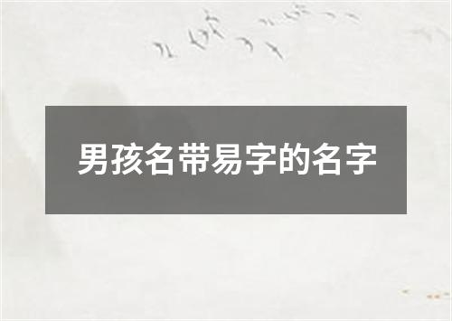 男孩名带易字的名字