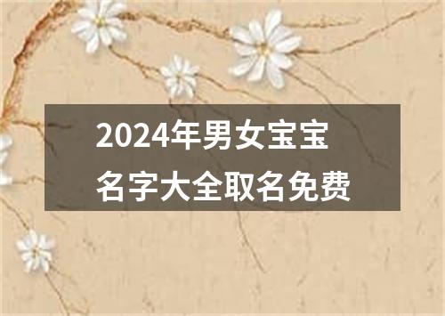 2024年男女宝宝名字大全取名免费