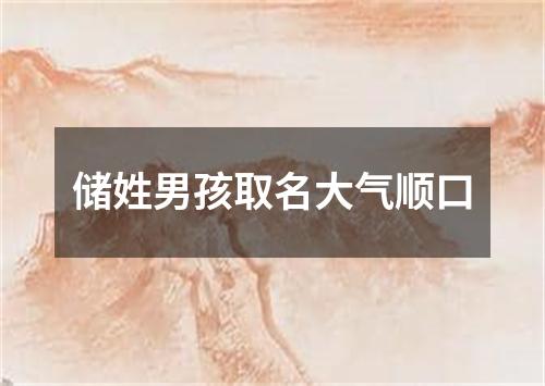 储姓男孩取名大气顺口