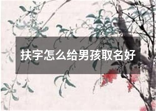 扶字怎么给男孩取名好
