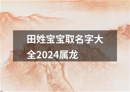 田姓宝宝取名字大全2024属龙