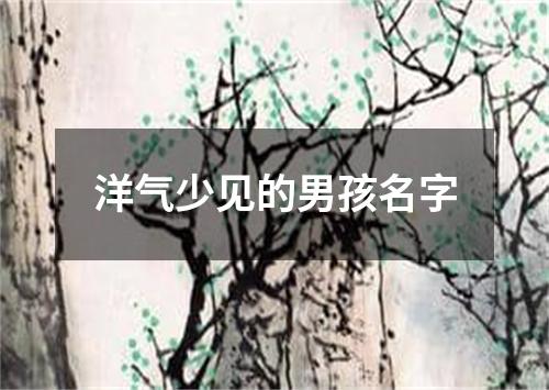 洋气少见的男孩名字