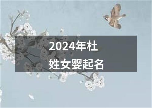2024年杜姓女婴起名