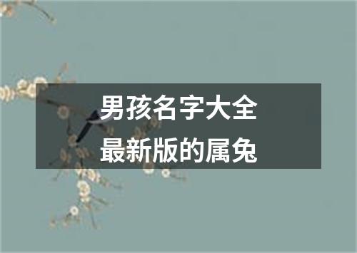 男孩名字大全最新版的属兔