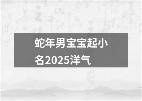 蛇年男宝宝起小名2025洋气