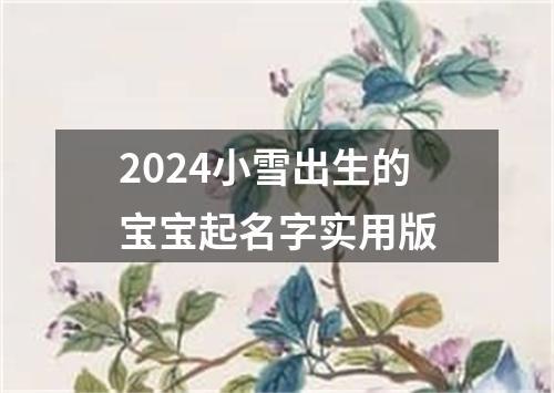 2024小雪出生的宝宝起名字实用版
