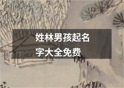姓林男孩起名字大全免费