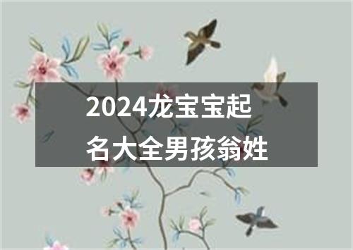 2024龙宝宝起名大全男孩翁姓