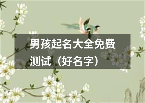 男孩起名大全免费测试（好名字）