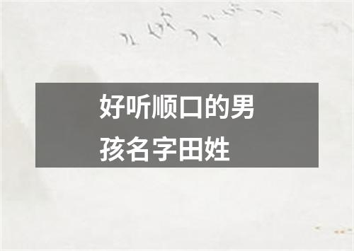 好听顺口的男孩名字田姓