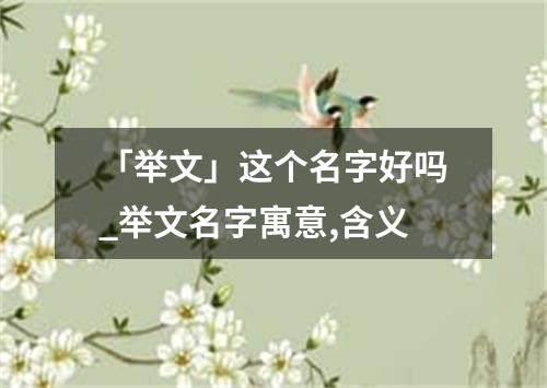 「举文」这个名字好吗_举文名字寓意,含义