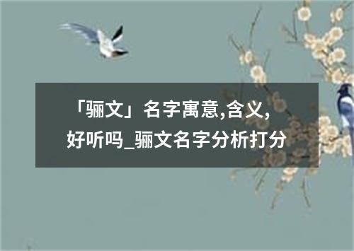 「骊文」名字寓意,含义,好听吗_骊文名字分析打分