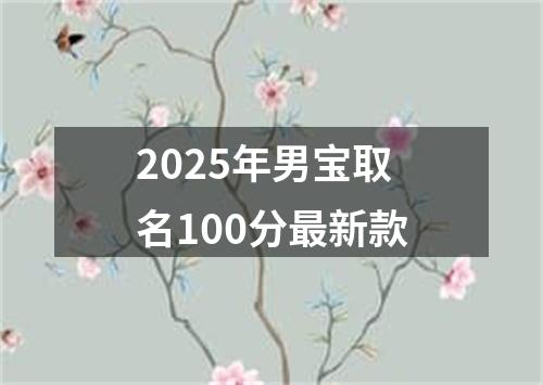 2025年男宝取名100分最新款