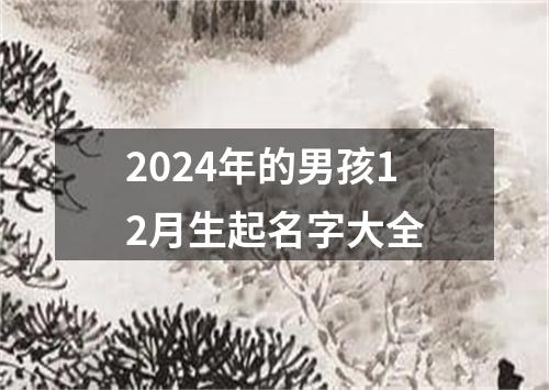 2024年的男孩12月生起名字大全