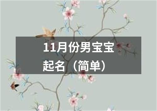 11月份男宝宝起名（简单）