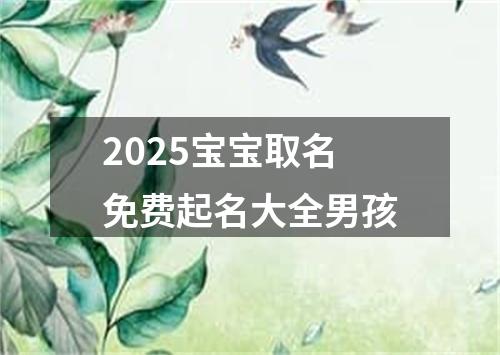 2025宝宝取名免费起名大全男孩