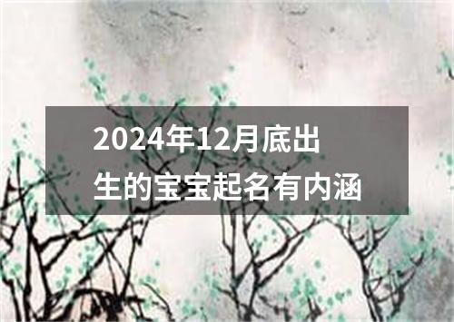 2024年12月底出生的宝宝起名有内涵