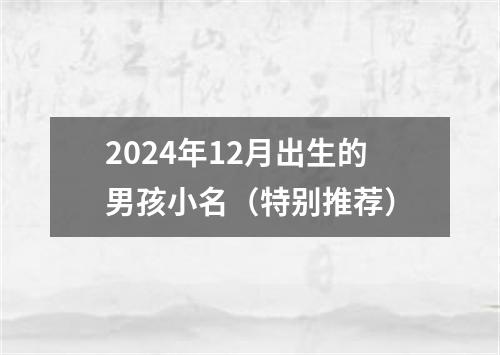 2024年12月出生的男孩小名（特别推荐）