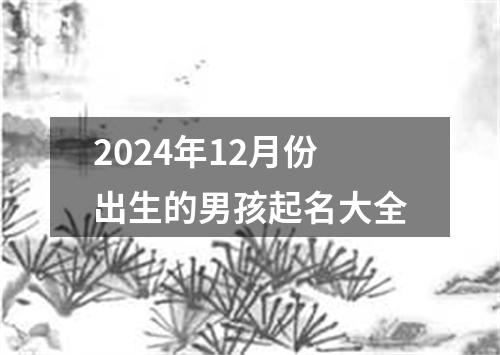 2024年12月份出生的男孩起名大全