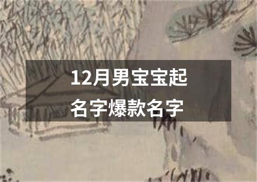 12月男宝宝起名字爆款名字
