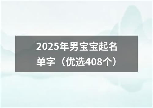2025年男宝宝起名单字(优选408个)