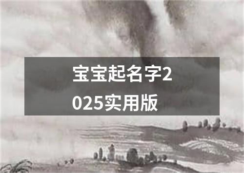 宝宝起名字2025实用版