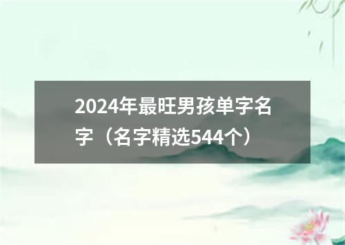2024年最旺男孩单字名字(名字精选544个)