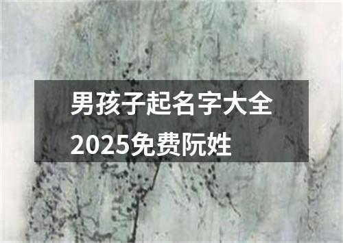 男孩子起名字大全2025免费阮姓