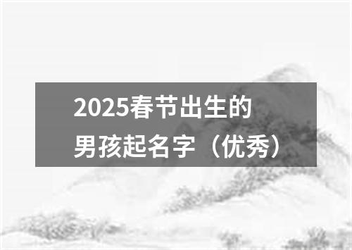2025春节出生的男孩起名字（优秀）