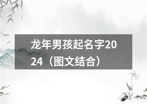 龙年男孩起名字2024（图文结合）