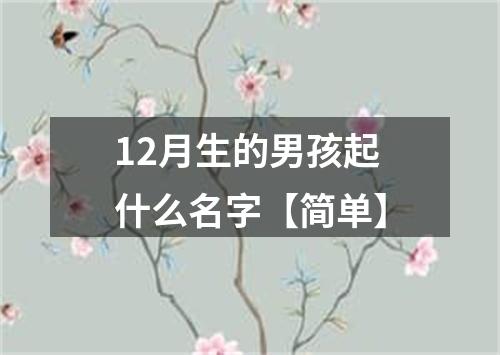 12月生的男孩起什么名字【简单】